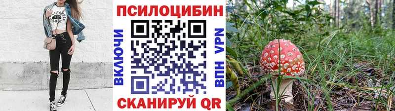 Псилоцибиновые грибы Cubensis  Пустошка 